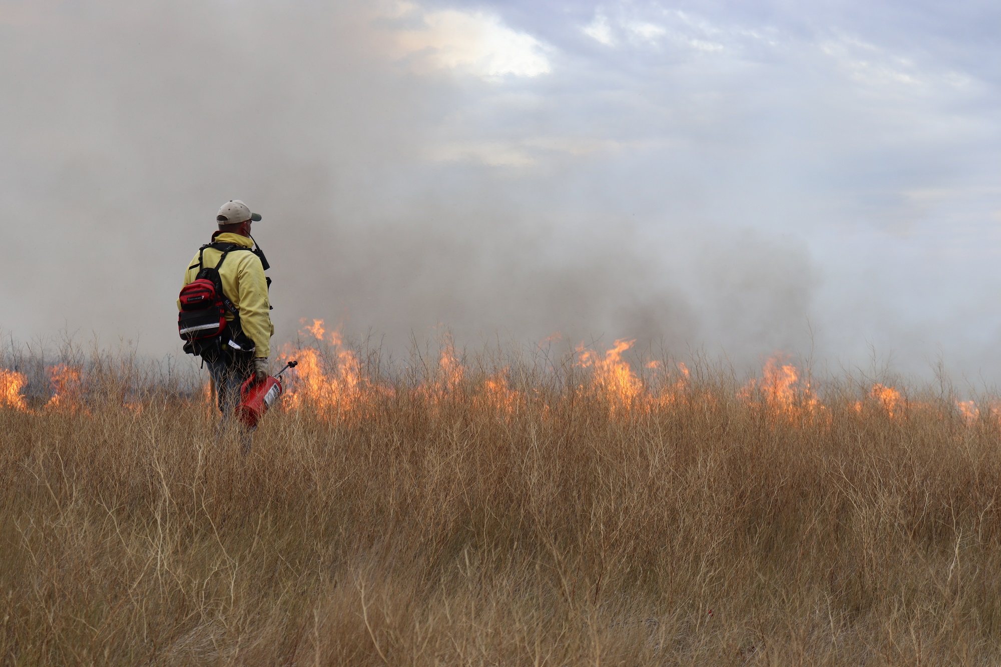 North Dakota Prescribed Burning Rules and Regulations NDSU Agriculture